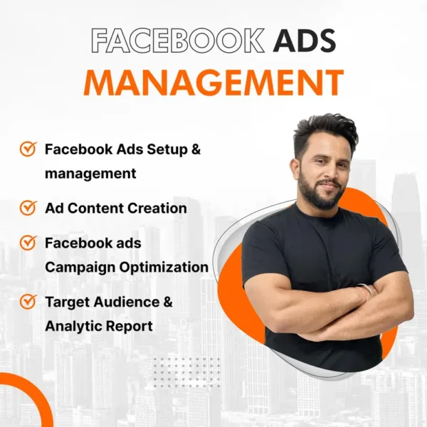 Facebook Ads Management - Image 2