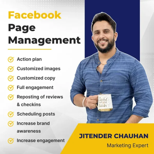 Professional Facebook Page Management